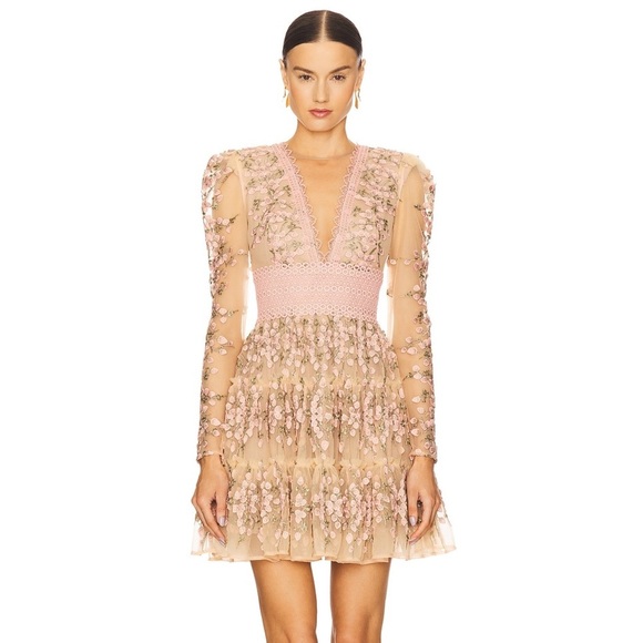 Bronx and Banco Dresses & Skirts - NWT Bronx and Banco Megan Rose Embroidered Mini Dress Size Small